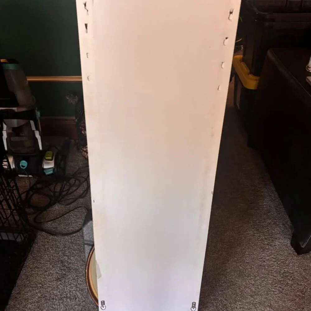 Gold Framed Door Mirror
